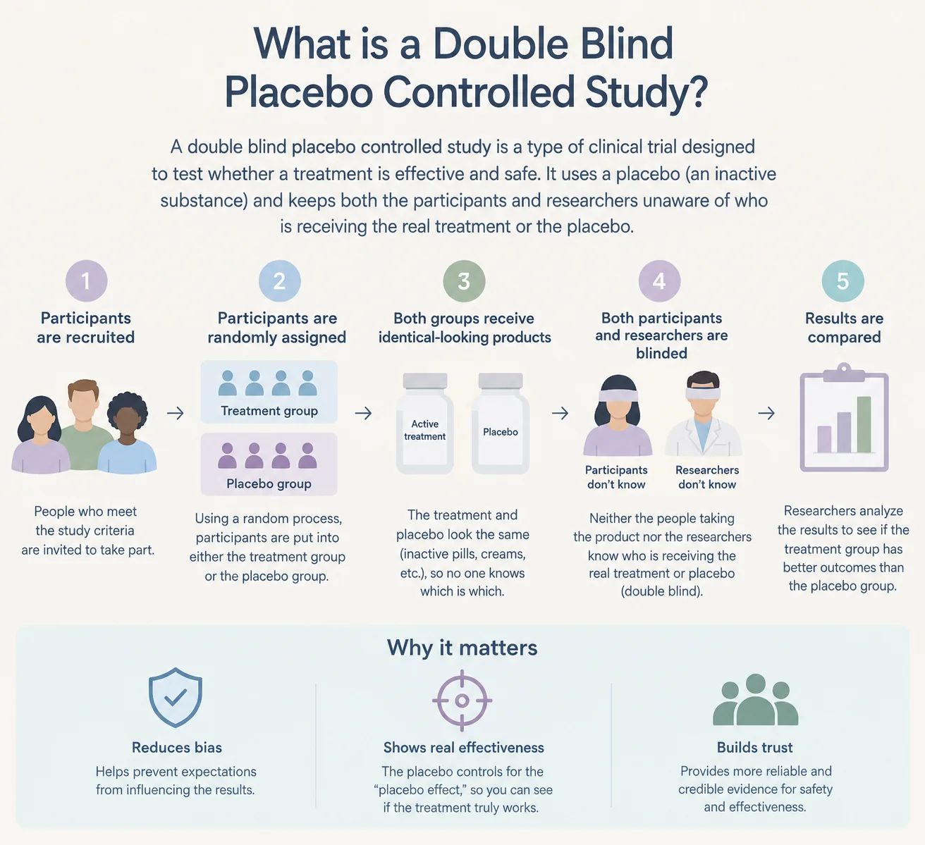 Diagram explaining the phases of a randomized clinical trial