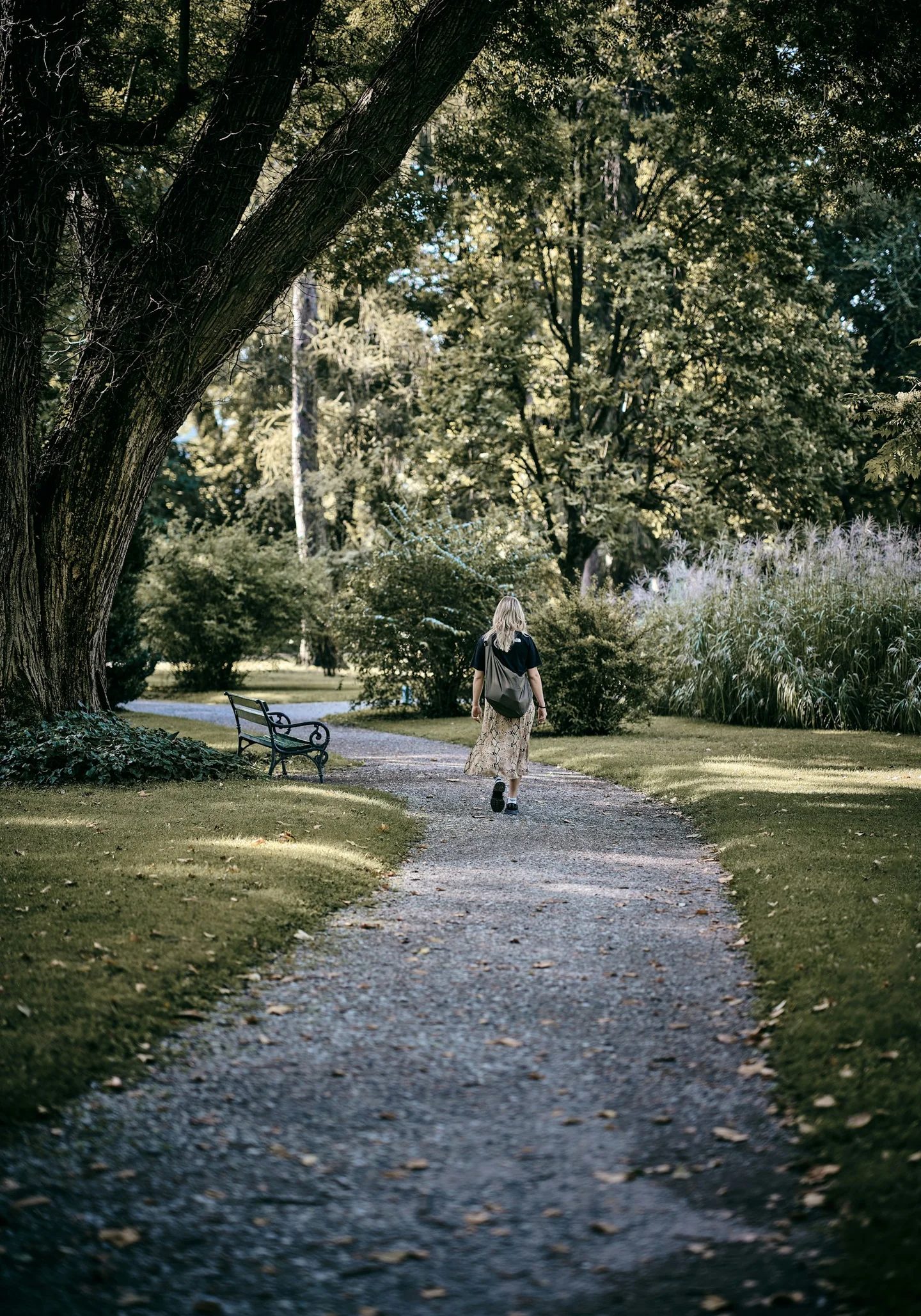 A person walking along a garden path in daylight